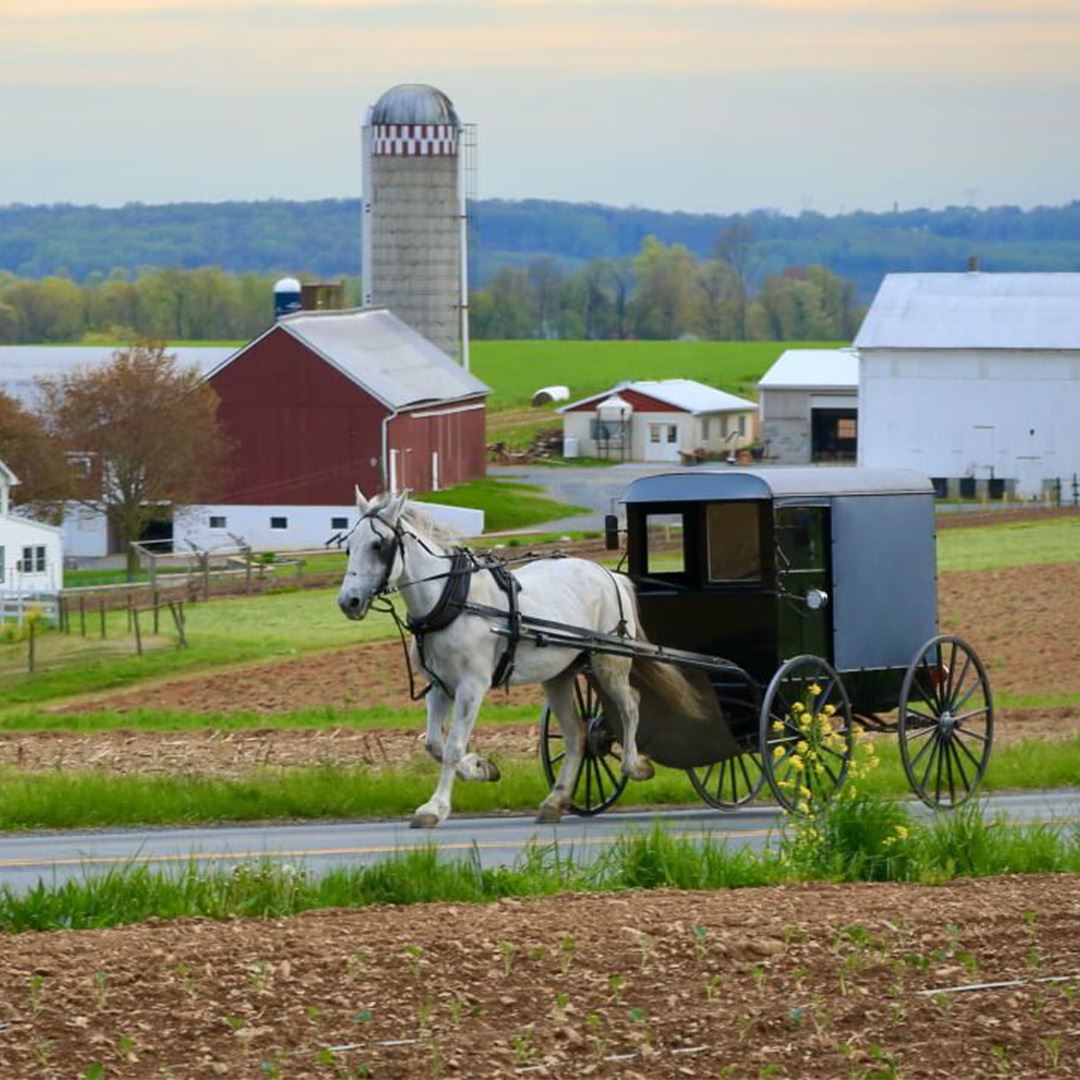 Amish Country Trip