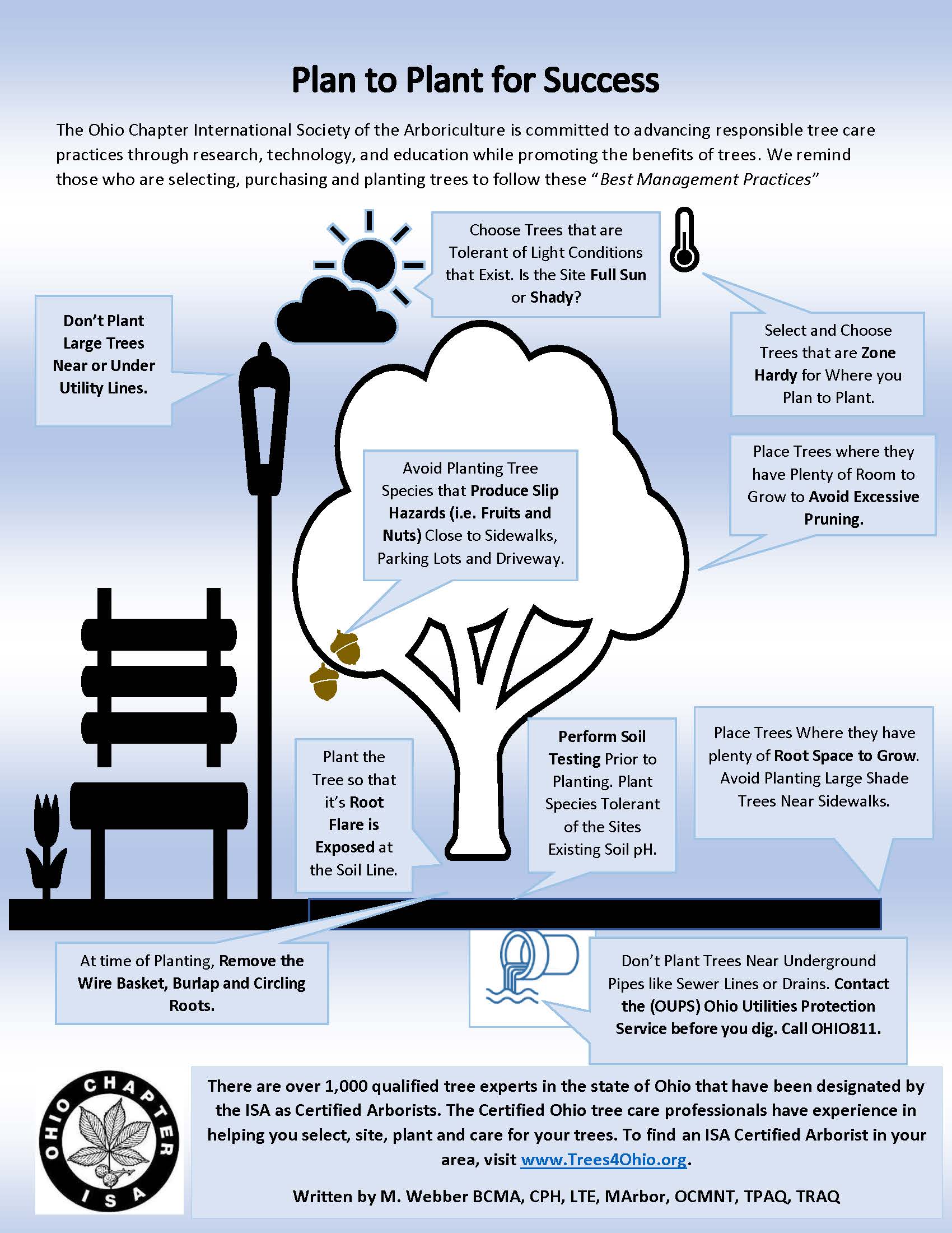 Tree Planting for Success