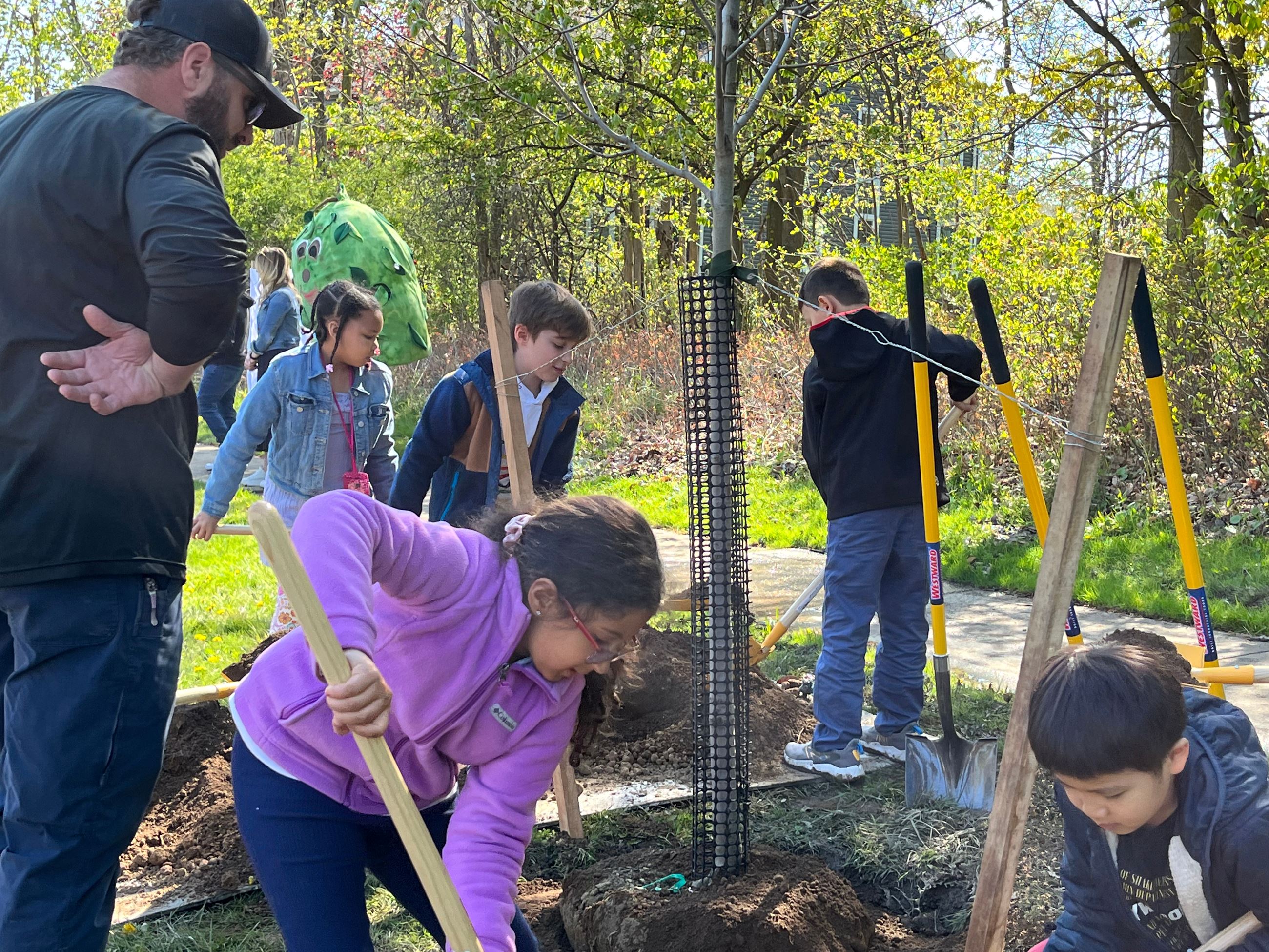 Tree Planting with Arborist Supervision